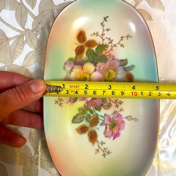 VINTAGE SCHUMANN ARZBERG GERMANY PORCELAIN WILD ROSE BLUSH IRREGULAR SHAPE PLATE - Picture 4 of 5